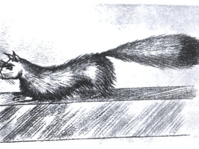 The Strangeness Next&nbsp;Door