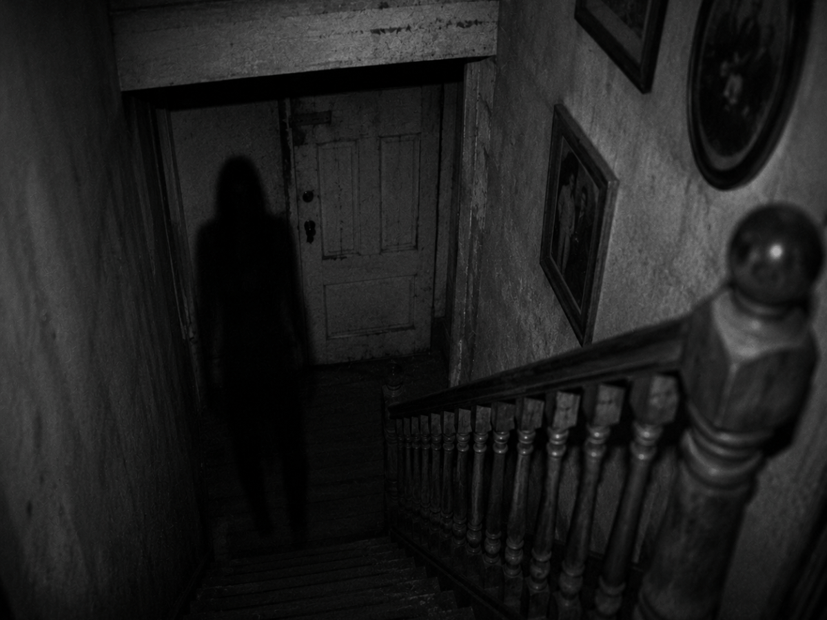 The Basement Knockings of Willow&nbsp;Street